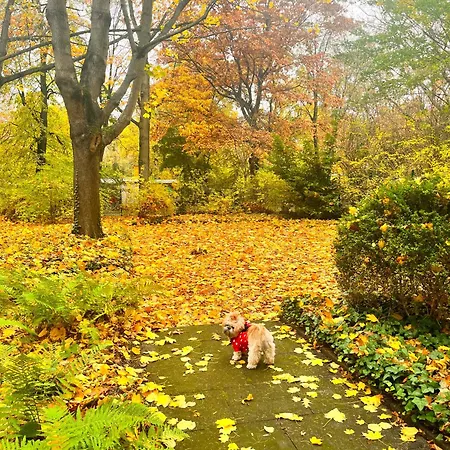 01 Bedroom In Mitte-up To 5 People-private Free Parking *