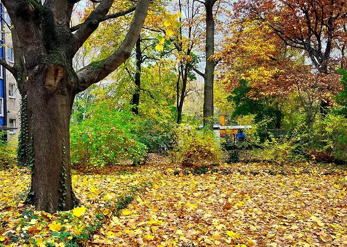 01 Bedroom In Mitte-up To 5 People-private Free Parking Appartement Berlin