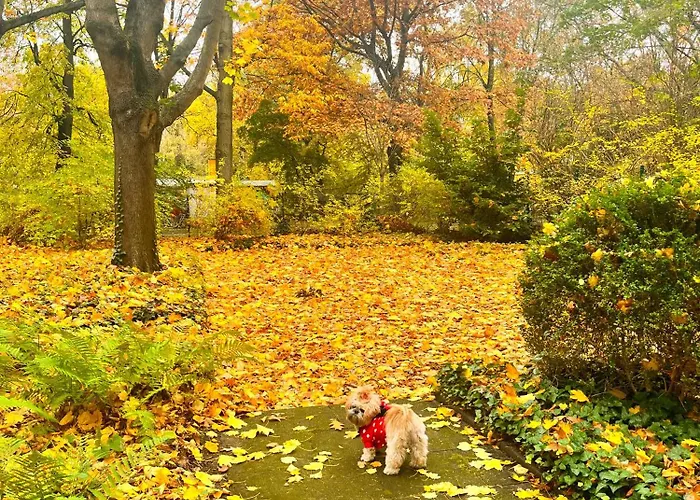 01 Bedroom In Mitte-up To 5 People-private Free Parking *