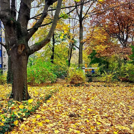 01 Bedroom In Mitte-up To 5 People-private Free Parking Appartamento Berlino